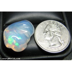 20.81CT RAINBOW OF COLOR LARGE OPAL $1NR