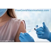 $20,000 obo "FreeCovidVaccinations.com" Domain