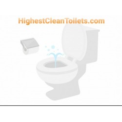 $53,000 Buy Out or Make Best Offer on Domain "HighestCleanToilets.com
