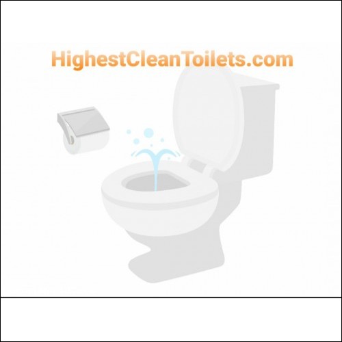 $53,000 Buy Out or Make Best Offer on Domain "HighestCleanToilets.com