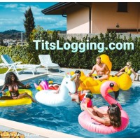 $53,000 Buy Out or Make Best Offer on Domain "TitsLogging.com"