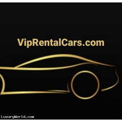 "VipRentalCars.com" $2m Buy Out or Make Best Offer on Worldwide Business Brand/ Digital Location Auction Monday 5/23/22