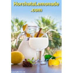 "HorchataLemonade.com" $2m Buy Out or Make Best Offer on Worldwide Business Brand/ Digital Location Auction Monday 5/23/22