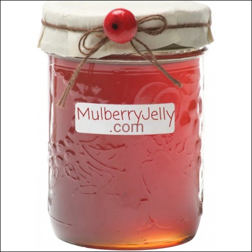 $20,000 "MulberryJelly.com" "TootJelly.com" & "TootJam.com" My favorite Jelly with My Mom's Recipe