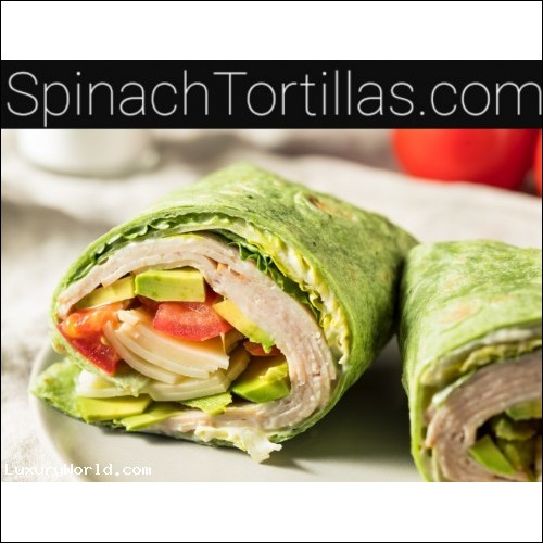 "SpinachTortillas.com & SpinachTortilla.com Buy both now for $500,001