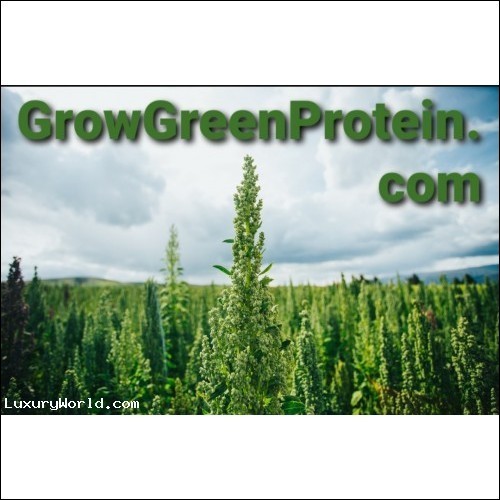 GrowGreenProtein.com $10,000 plus 5% Royalty on all seed sales