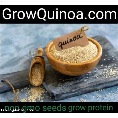 GrowQuinoa.com Buy 100% of all rights to the Domain for $2,500