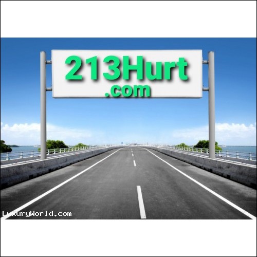213Hurt.com Domain Buy Out 100% of all rights for $1,100