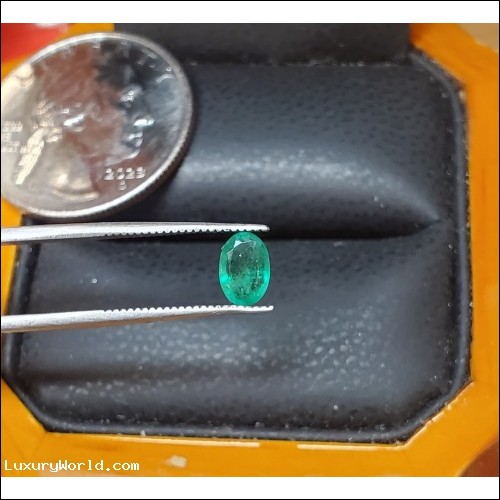 $500 Defaulted Pawn Loan or Buy .53Ct Emerald Oval May Birthstone $1Nr