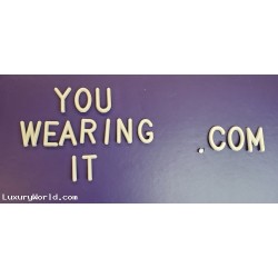 $1,000,000 Buy Out 100% of all rights to YouWearingIt.com Domain