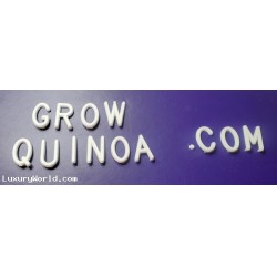 Lease the Domain GrowQuinoa.com for 5% of Non Gmo Seed Sales