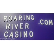 Lease the Domain RoaringRiverCasino.com for 5% of Online Musical & Events Tickets Sales
