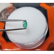 $200 .22Ct Emerald Oval Gemstone May Birthstone $1Nr